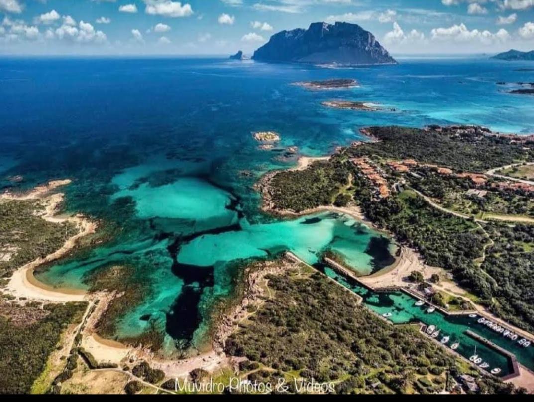 Villa Raffaello Porto San Paolo  Eksteriør bilde